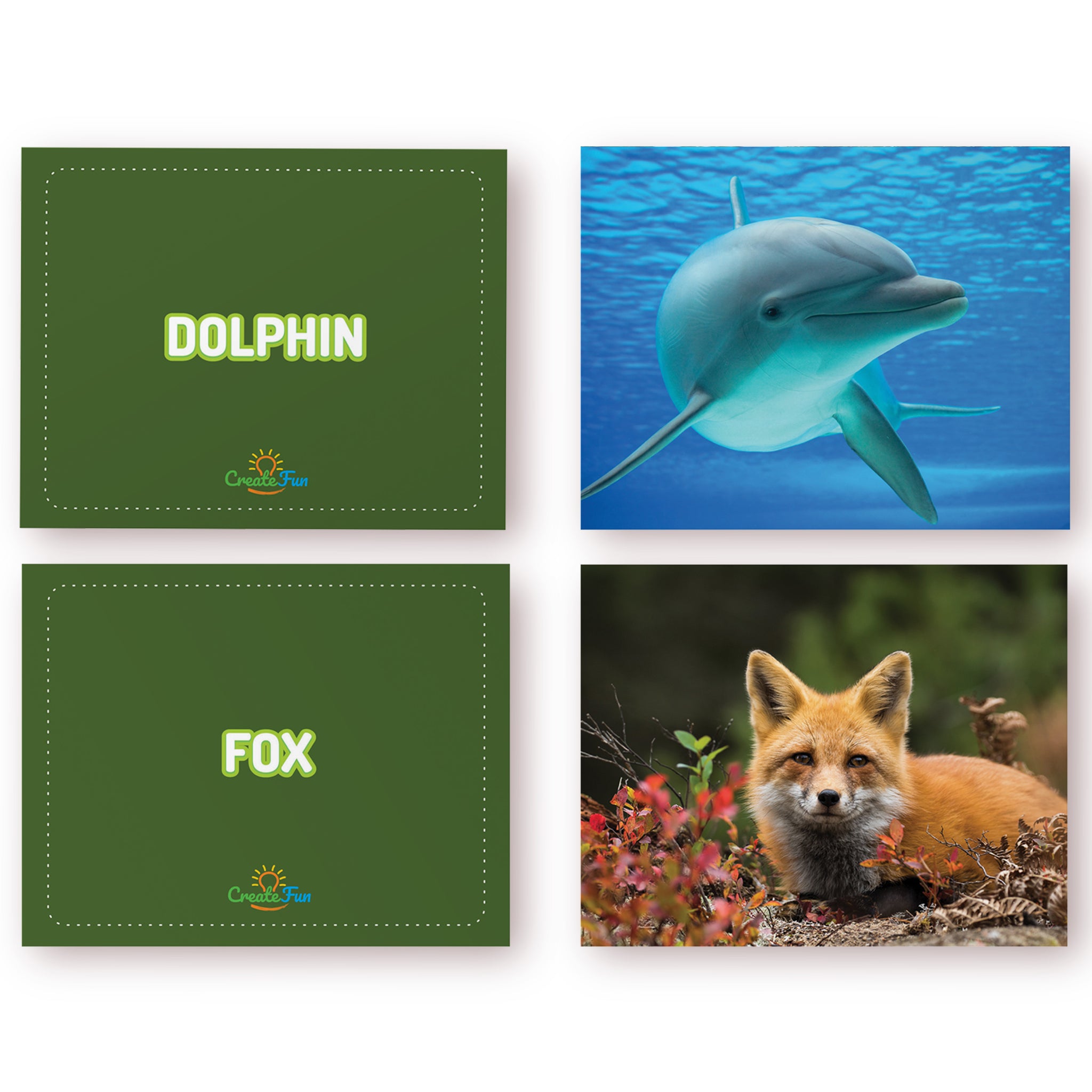 CreateFun Noun Vocabulary Builder Flash Cards: Includes Animals & Food ...