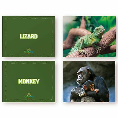 Animal Mini cards 10 units with envelopes – Unik by Nature