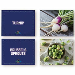 Food Flash Cards by CreateFun | 50 Vocabulary Picture Cards | for Parents, Teachers, Speech Therapy & ESL Teaching Materials